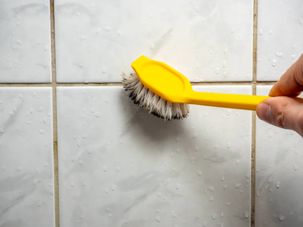Best Local Mold Removal Service  in Pierson, FL
