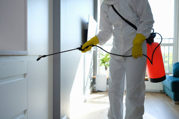 Best Mold Removal and Inspection  in Pierson, FL