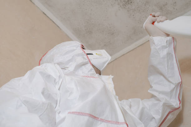 Best Residential Mold Removal  in Pierson, FL